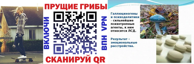 Купить закладки  Голицыно  Галлюциногенные грибы Magic Shrooms 